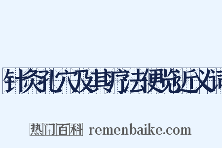 针灸孔穴及其疗法便览近义词是什么意思的图片